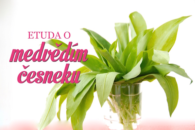 medvědí česnek recepty